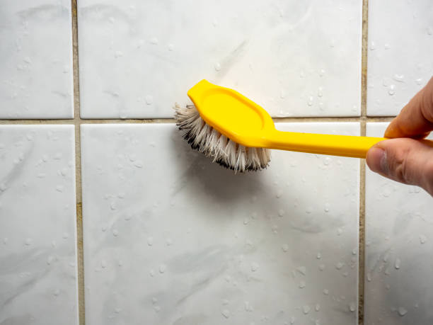 Best Mold Cleaning Services  in Hideaway, TX