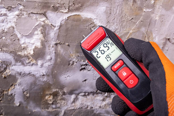 Best Mold Testing  in Hideaway, TX