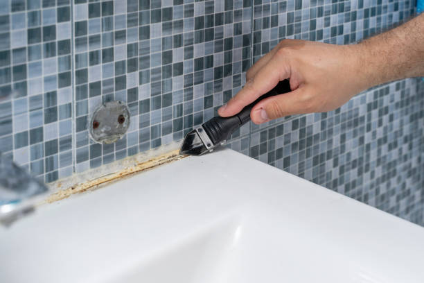 Best Black Mold Removal  in Hideaway, TX