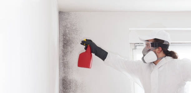 Crawl Space Mold Removal in Hideaway, TX