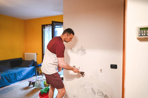 Best Mold Removal and Inspection  in Hideaway, TX